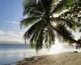 Fiji01